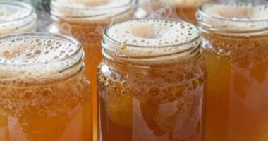 ferments offer unique skincare benefits