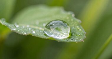 glycerin s hydrating power