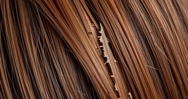 heat induced hair fiber damage