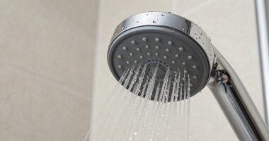 limitations of shower filters