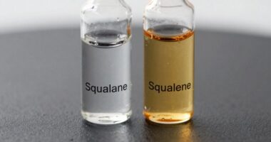 lipid differences clarified here