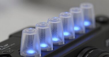 long term hair growth results