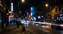 loud vs unpredictable night noise