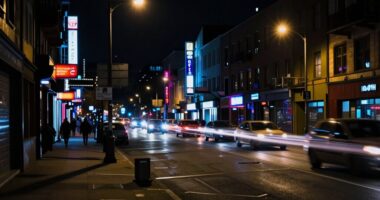 loud vs unpredictable night noise