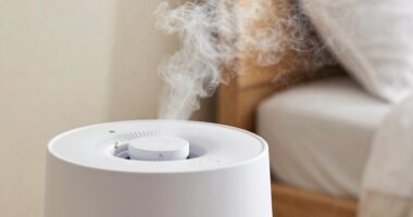 maintain clean humidifier regularly