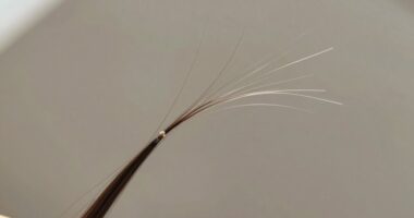 split ends and hair damage