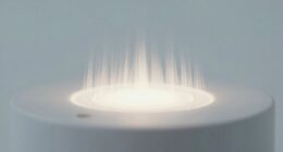 steady sound calms brains