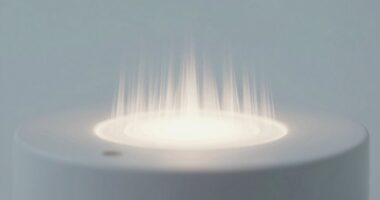 steady sound calms brains