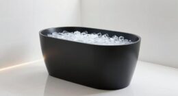 top 15 ice bath tubs