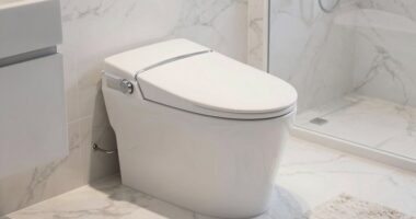 top 15 luxury heated bidet seats