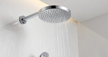 top 15 rain shower options