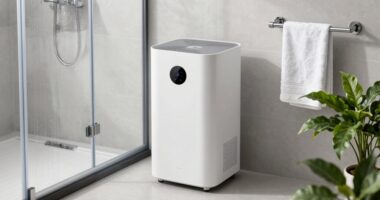 top bathroom dehumidifiers list