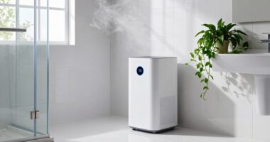 top bathroom mold preventers