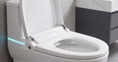 top bidet seat picks