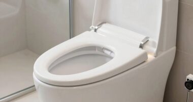 top bidet toilet seat picks