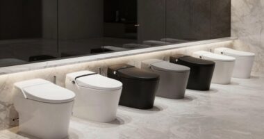 top bidet toilet seat reviews