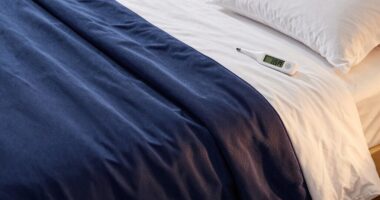 top cooling weighted blankets