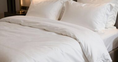 top egyptian cotton sheets