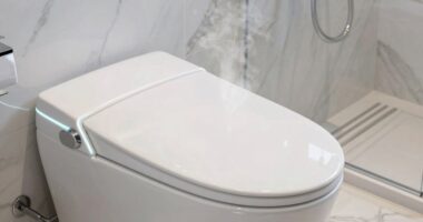 top heated bidet seats