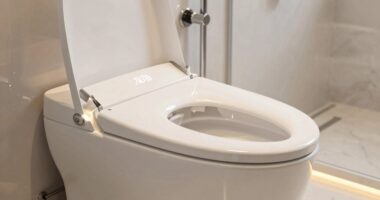 top heated bidet seats