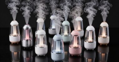 top nano ionic facial steamer