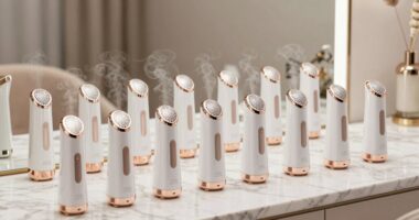 top nano ionic facial steamers