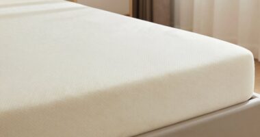 top rated latex mattress toppers
