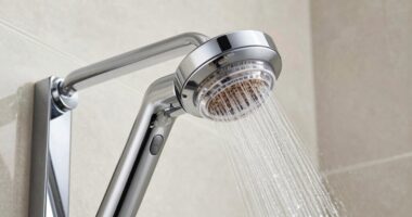 top shower filter picks