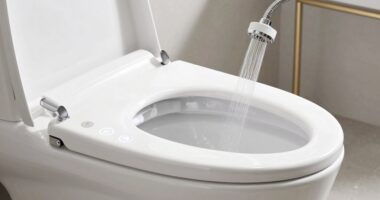 top warm water bidet seats