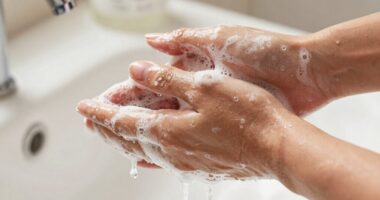 hand hygiene over techniques