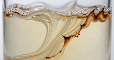 sensory differences in acids