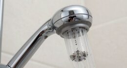 shower filters improve water quality