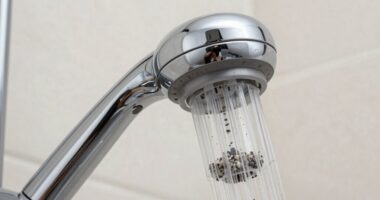 shower filters improve water quality