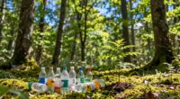 sustainability claims versus facts