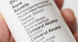 understanding ingredient lists easily