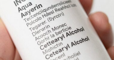 understanding ingredient lists easily